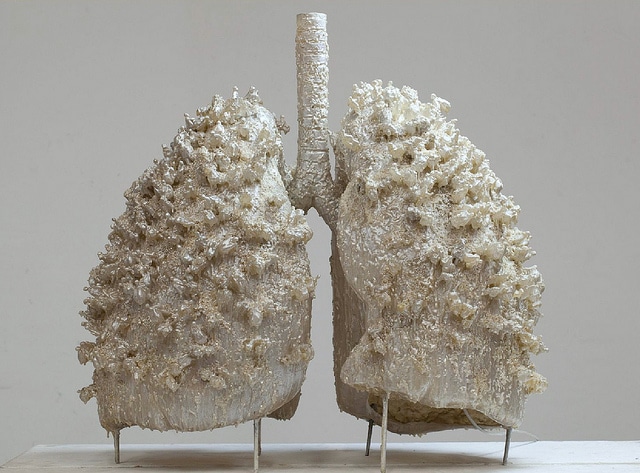 art installation of a lung